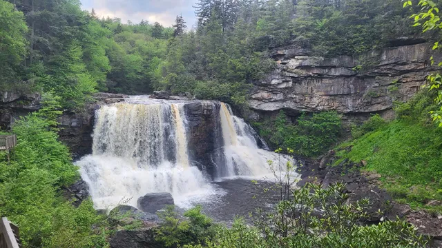 Blackwater Falls