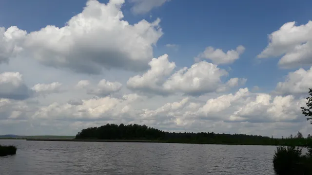 Верх-Нейвинский