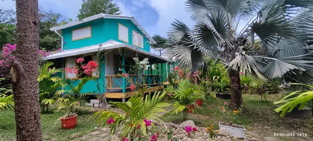 Yellow Home House South Hotel