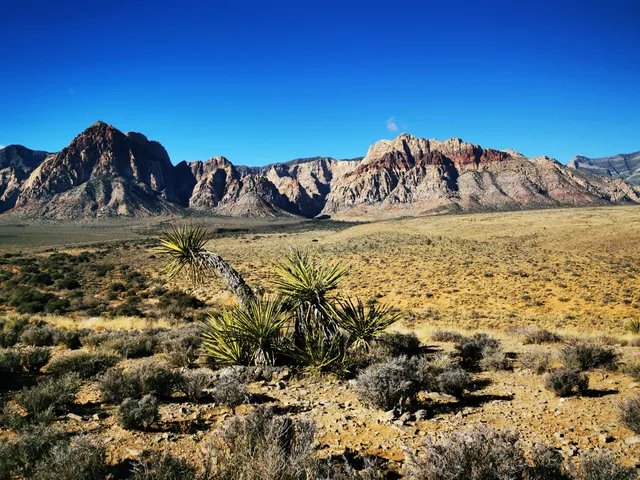 Red Rock Canyon Overlook
