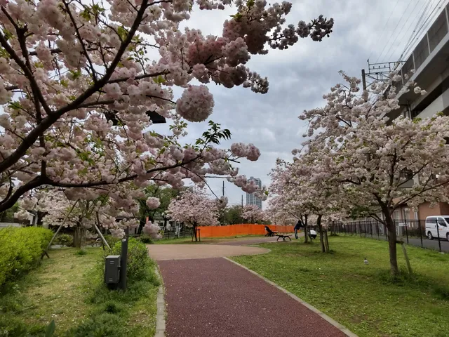 Seinansakura Park