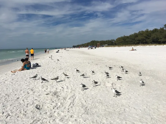 Coquina Beach Gulfside North Pavillion