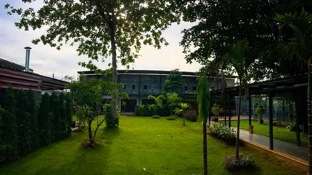 The Tree Sleep and Space