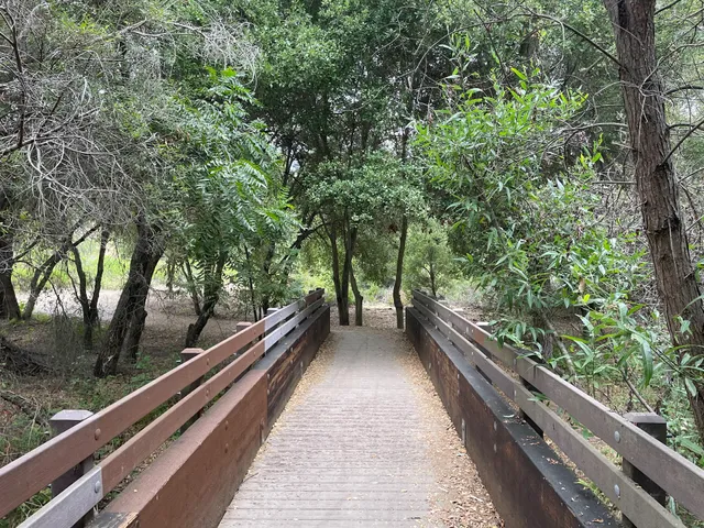 Buena Vista Park