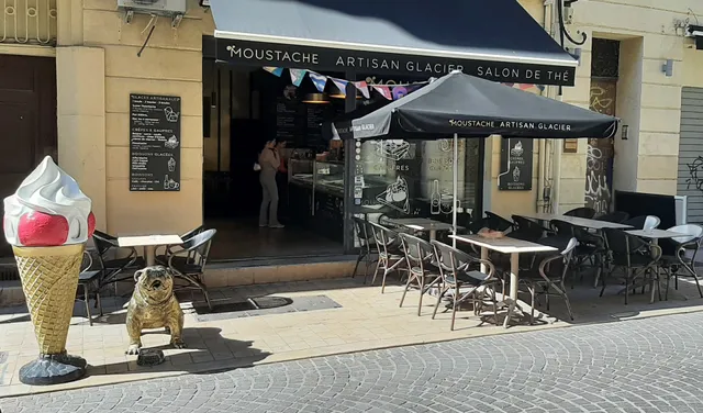 Glaces Moustache-Artisan Glacier