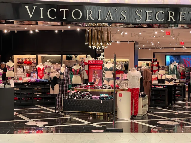 PINK by Victoria's Secret American Dream