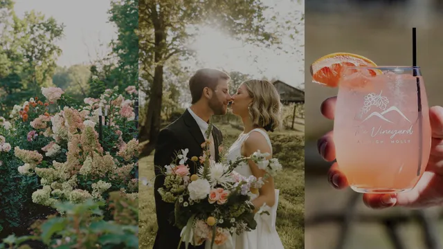 The Vineyard at High Holly