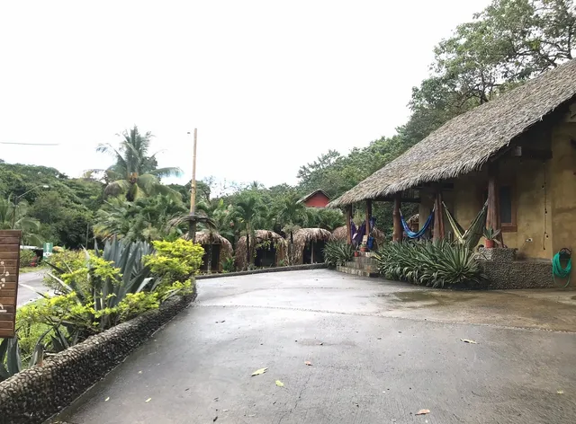 Bodhi Santa Catalina