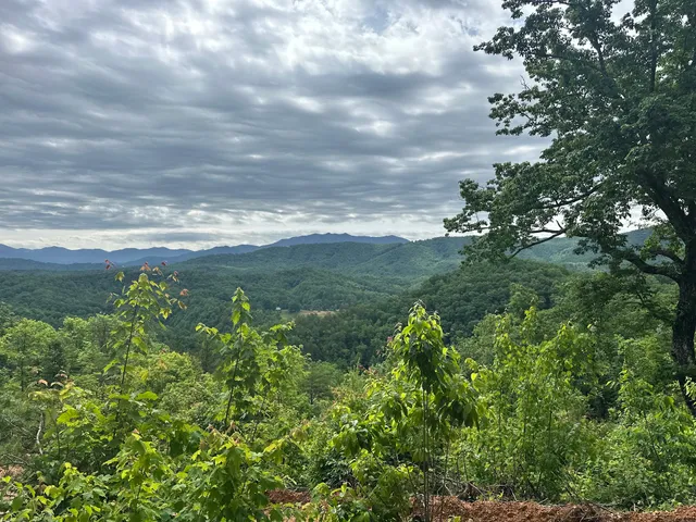 Gon Ridin' Off Road - ATV Tours