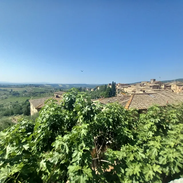 Punto panoramico
