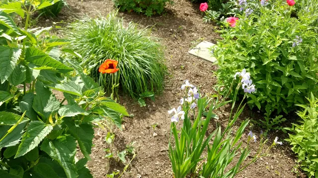 Keene Parks & Recreation Department