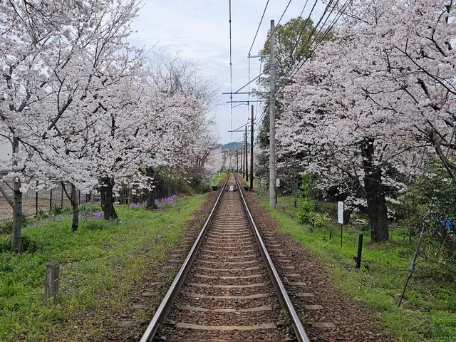 Utano Station