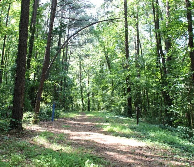 Beaver Marsh Nature Preserve