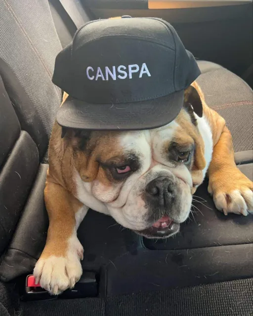 Canterbury Spa & Pool