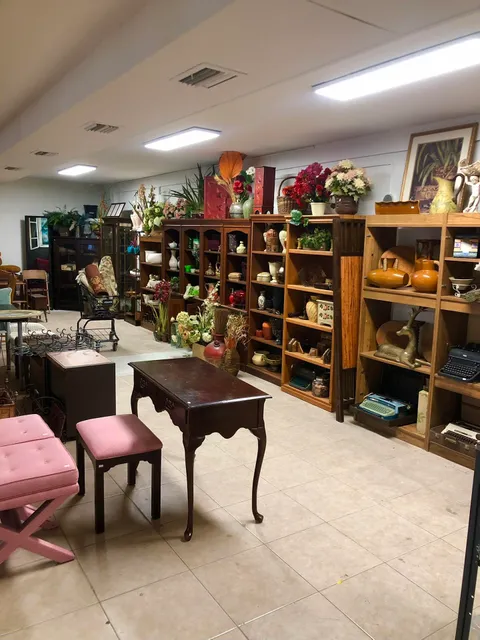 Clutter for College Thrift Store