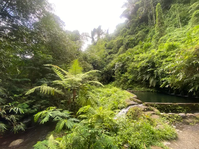 Lembah Bidadari, Tegallalang