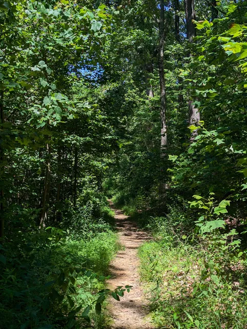 Forest Logan Backpack Trail North and South Loop Trailhead Parking Area