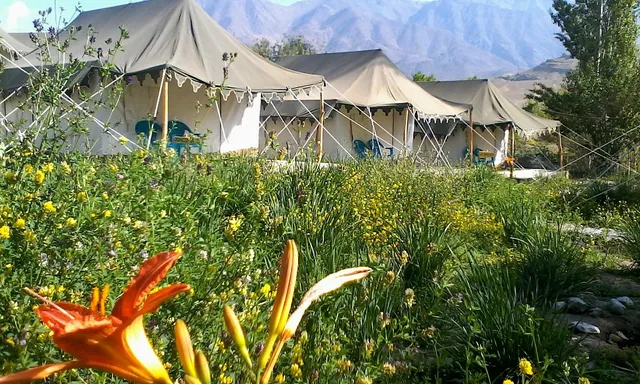 Kargil Tourist Camp