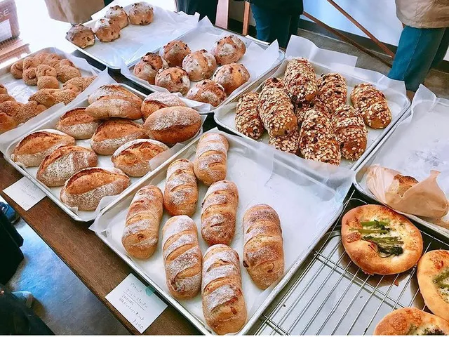 ジュンコウボウパン