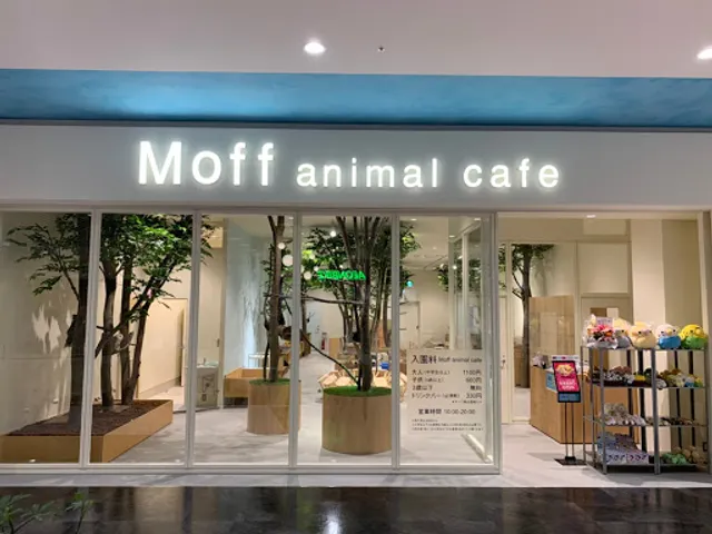 Moff animal cafe AEON MALL Shin-Rifu