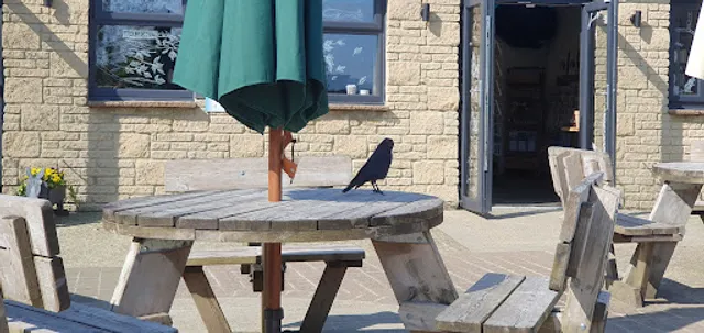 Isle of Wight Donkey Sanctuary Café