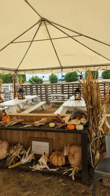 Barton Farms Pumpkin Patch & Farm to Porch Pumpkins