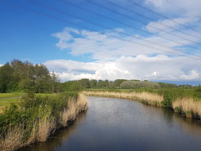 Buitenhuizen (Spaarnwoude Park)