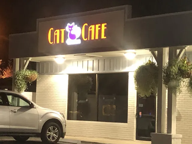 The Witty Whisker Cat Cafe