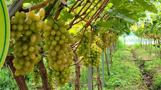 Changping Fire Fighting Theme Park