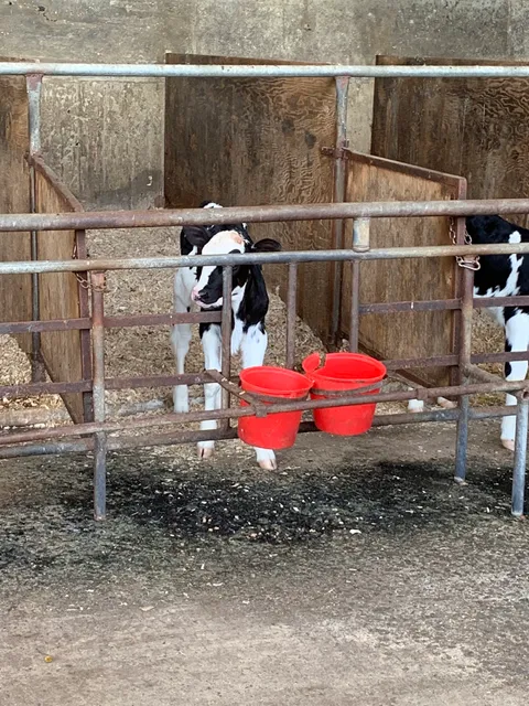 Fulper Family Farmstead