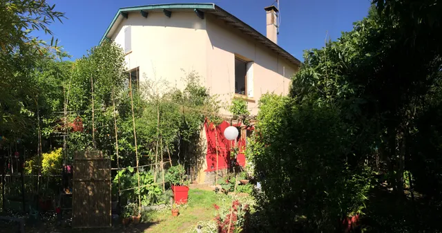 La Bulle dans le Palmier