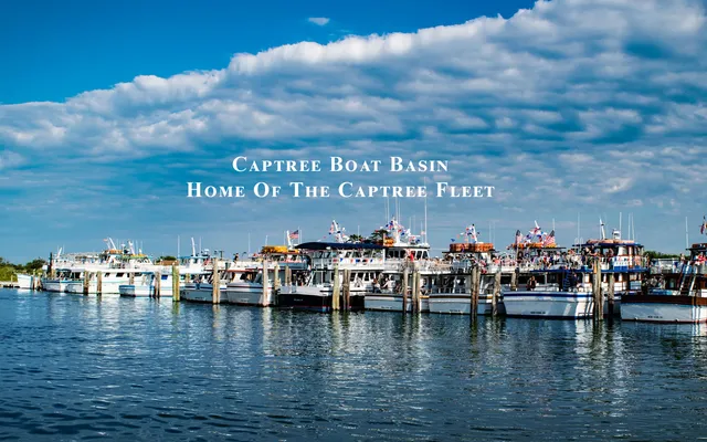 Captree Boat Basin
