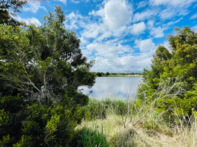 Dandenong Valley Wetlands