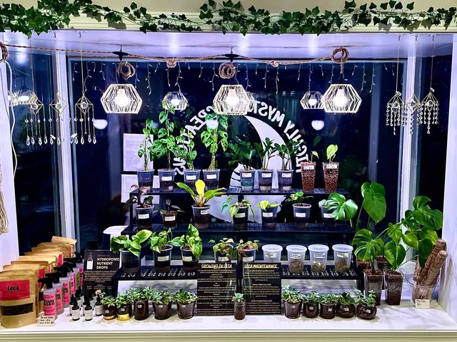 Highly Mystical Creations