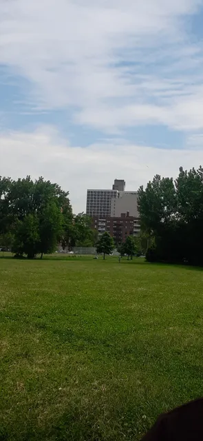 Kissena Park, Field 12