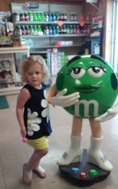 Darnell's Green Forest Grocery