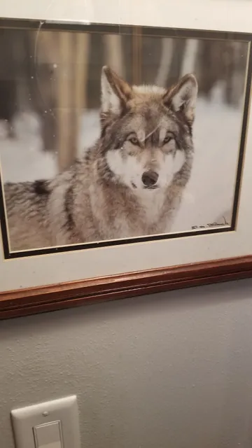 Mackinac Straits Photography