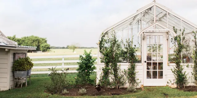 The Great Train Robbery