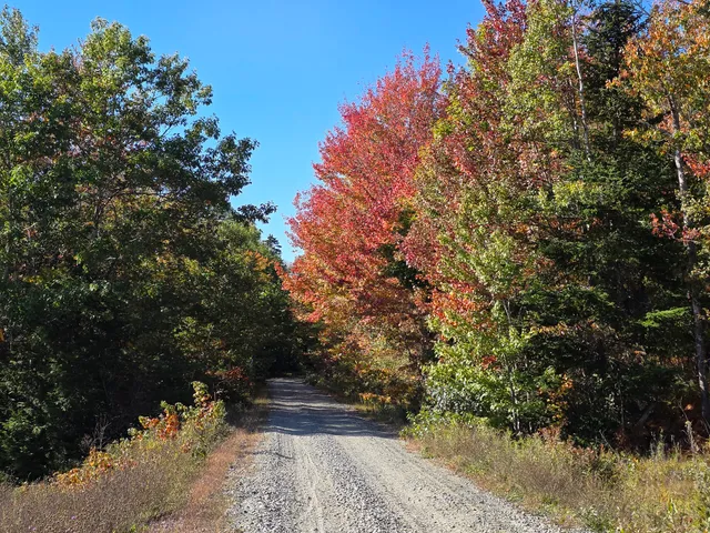 Downeast Sunrise Trail Atv/multi Use Recreation