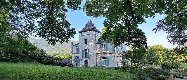 Château de Druon