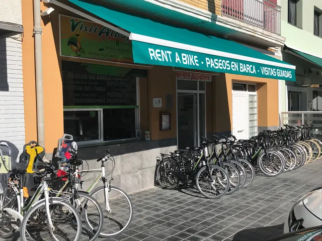 Paseos en Barca eléctrica y Bicicleta por la Albufera: VisitAlbufera