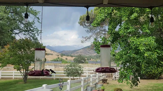 Lazy J Ranch Motel - Three Rivers, CA