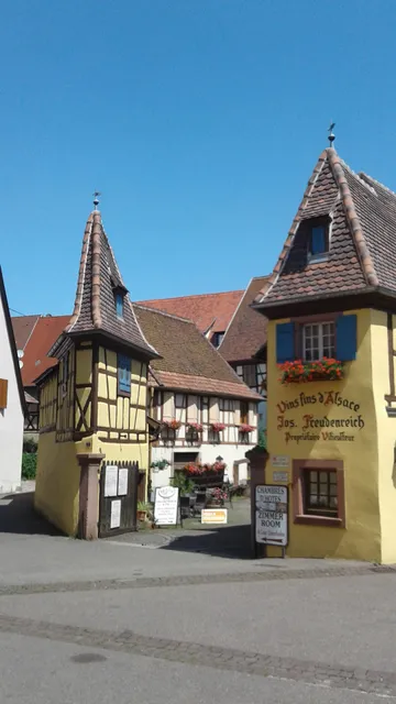 Gîtes 4 étoiles location avec piscine chauffée jacuzzi sauna (Alsace Bas Rhin Gertwiller)