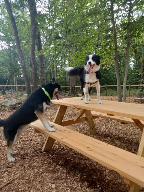 Raymond F Jones Memorial Dog Park