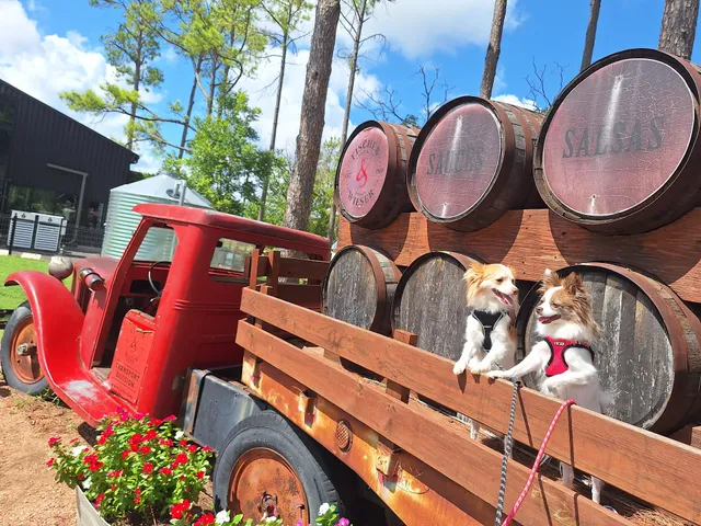 Fischer & Wieser Warehaus Store