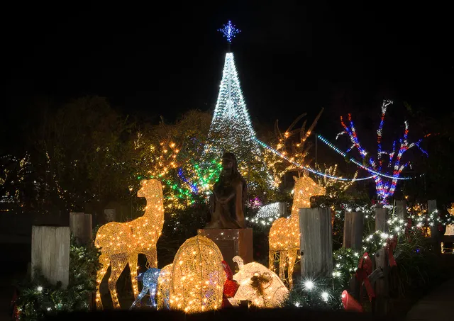 Sights and Sounds of Christmas