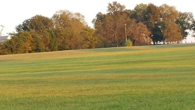 Chapel Hill Farm Center