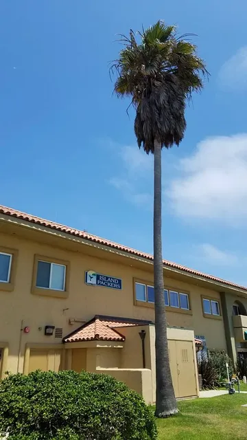 Island Packers Cruises