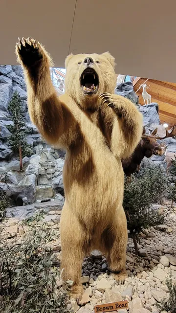 Cabelas Distribution Center