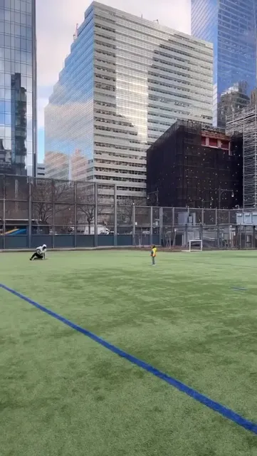 Battery Park City Soccer Fields